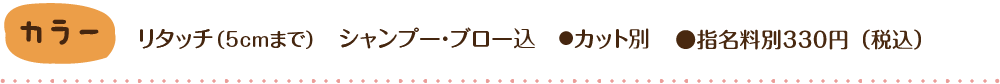 カラー/リタッチ（5cmまで） ブロー・シャンプー込 ● カット別 ● 指名料別300円（税込）
