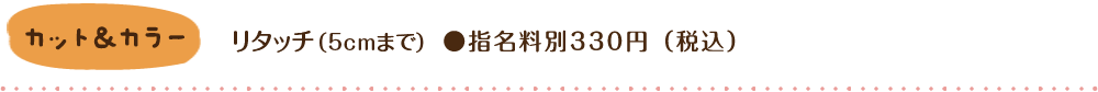 セットメニュー/リタッチ（カラー5cmまで）● 指名料別300円（税込） 